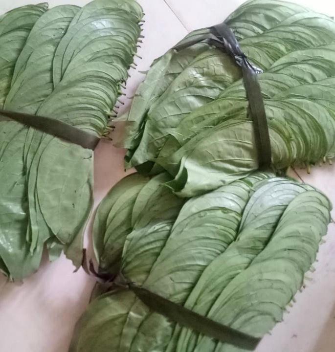 Green Garden Ayurvedic Resort & Green House 바르칼라 외부 사진